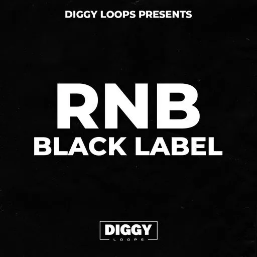 HOOKSHOW RnB Black Label WAV