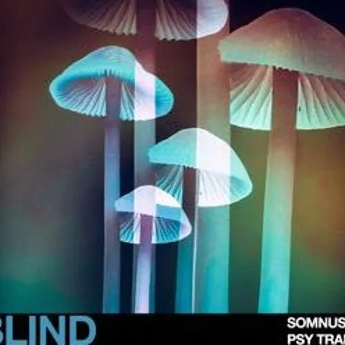 Blind Audio Somnus Psy Trance WAV