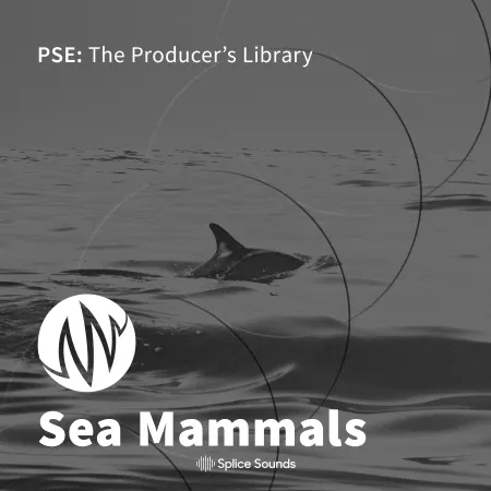 PSE The Producer's Library Sea Mammals WAV