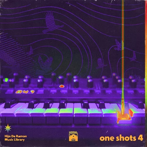 Hijo De Ramon Music Library ONE SHOTS VOL.4 WAV