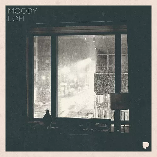 Poldoore Moody LoFi Sample Pack WAV