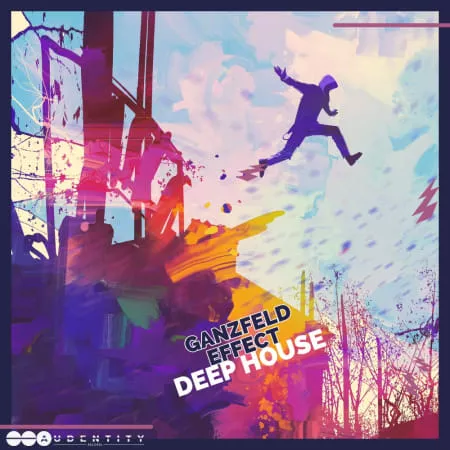 Ganzfeld Effect Deep House WAV FXP