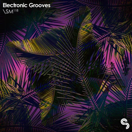 SM118 Electronic Grooves WAV