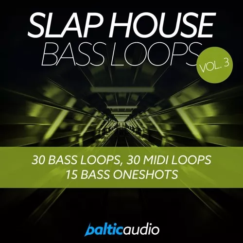 Baltic Audio Slap House Bass Loops Vol.3 WAV MIDI