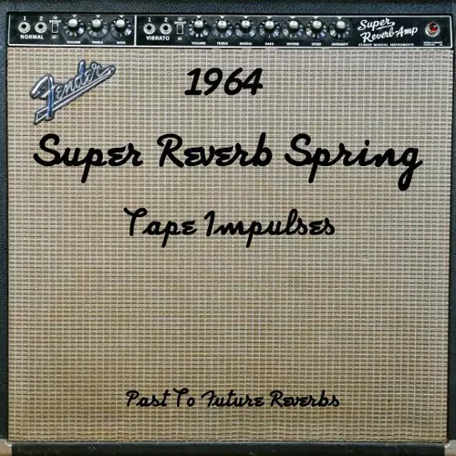 PastToFutureReverbs Fender 1964 Super Reverb Spring! WAV