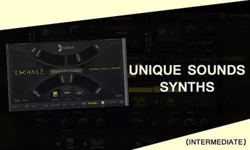 Vandalism Unique Sounds: Synths TUTORIAL