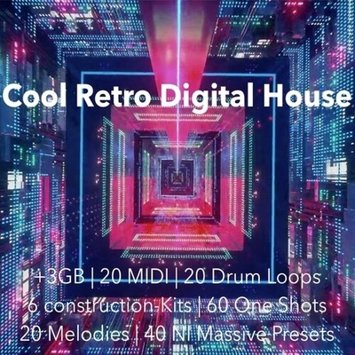 The Audio Bar Cool Retro Digital House [WAV MIDI NMSV]